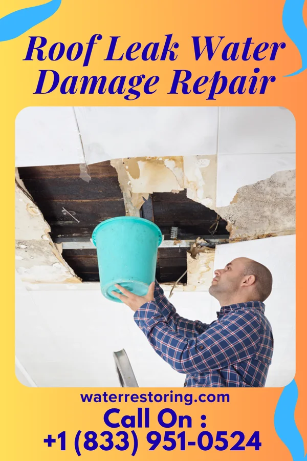 Roof Leak Water Damage Repair in Stoutsville, MO